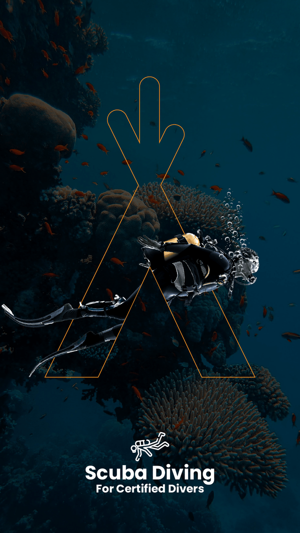 SCUBA DIVING (CERTIFIED DIVERS) STARTING FROM 110 USD Navigate Mexico