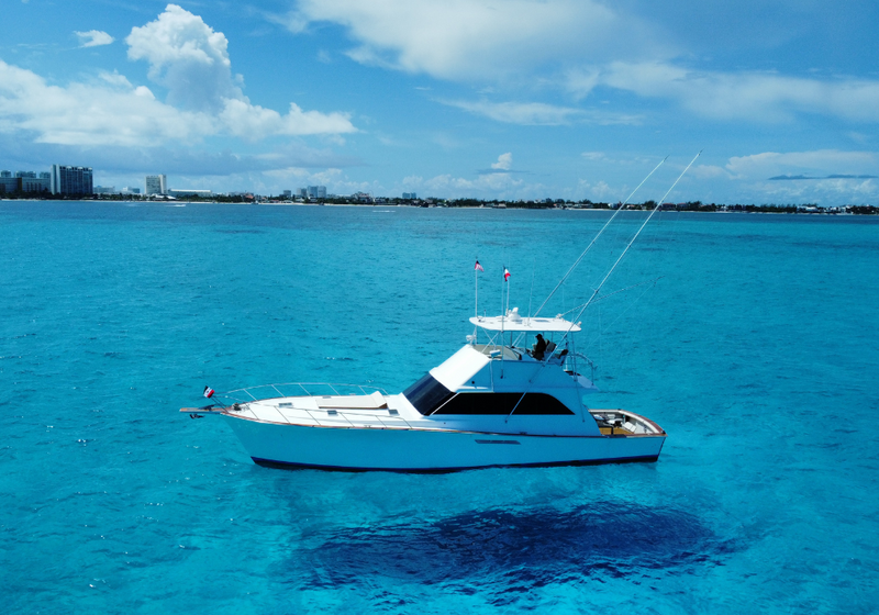 55FT - OCEAN YACHTS - SXY FSH - UP TO 12 PAX - STARTING FROM $1400 USD