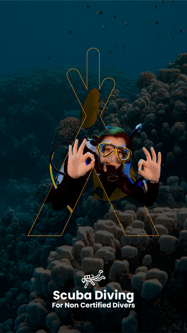 SCUBA DIVING (NONCERTIFIED DIVERS) STARTING FROM 150 USD Navigate