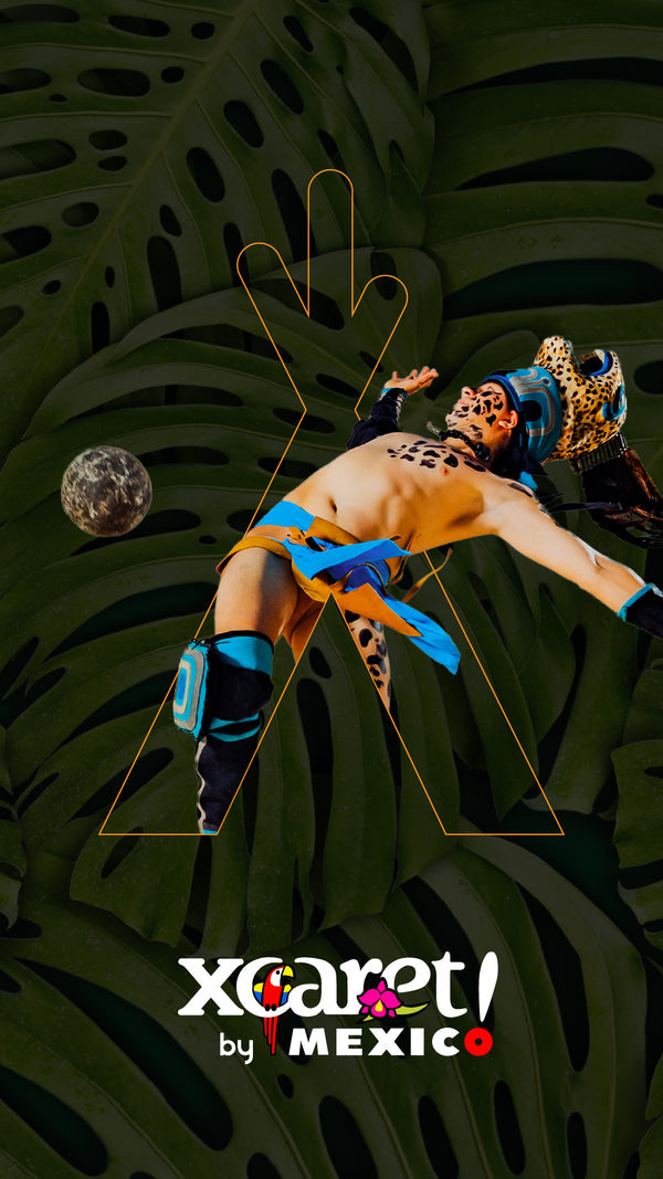 Xcaret a partir de US $ 195 USD